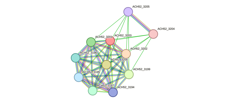 STRING protein interaction network