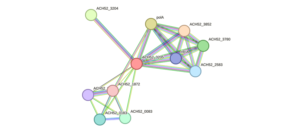 STRING protein interaction network