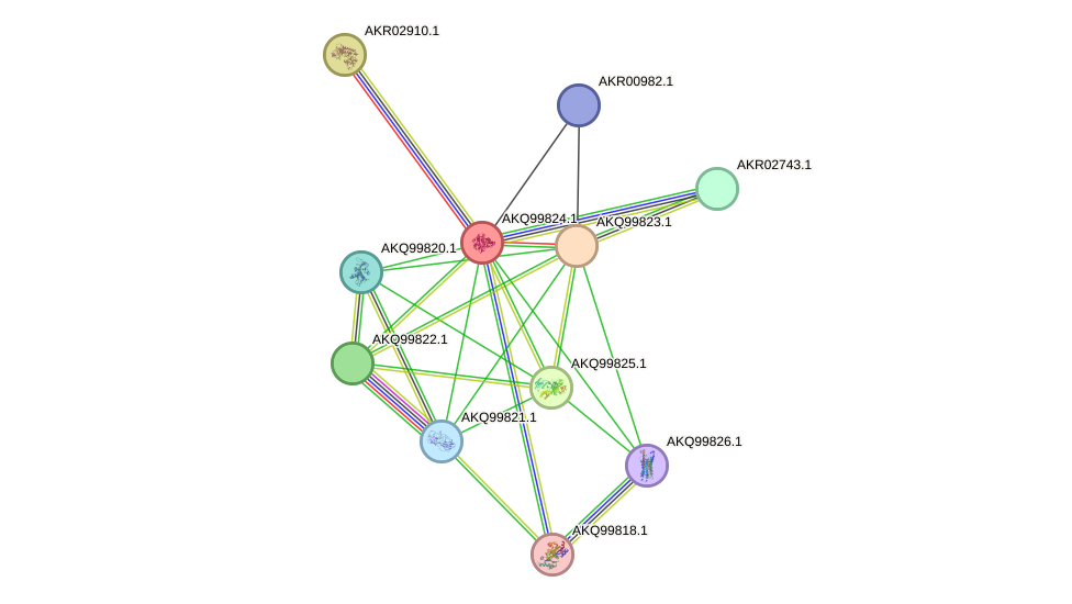 STRING protein interaction network