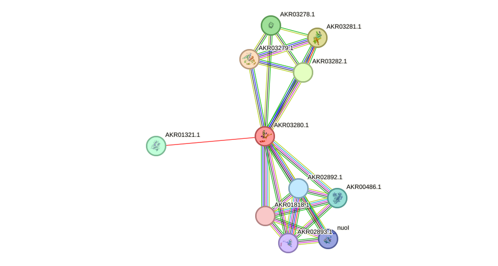 STRING protein interaction network