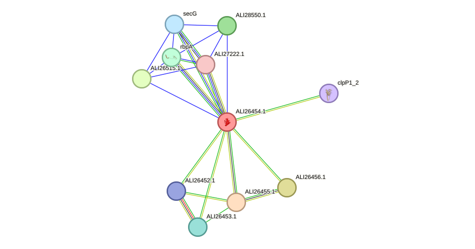 STRING protein interaction network