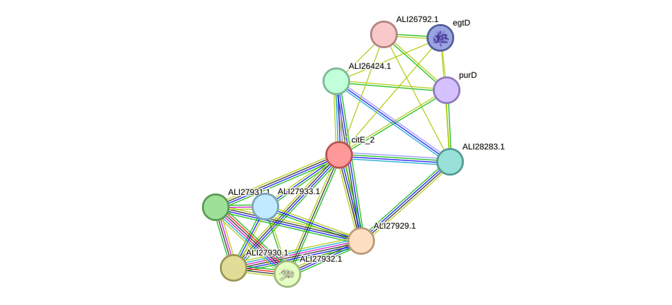 STRING protein interaction network