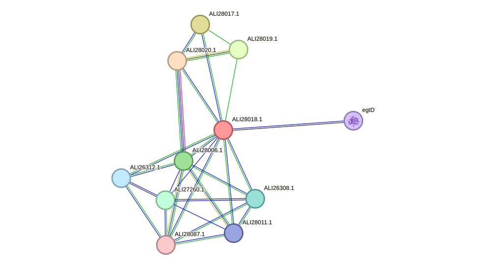 STRING protein interaction network