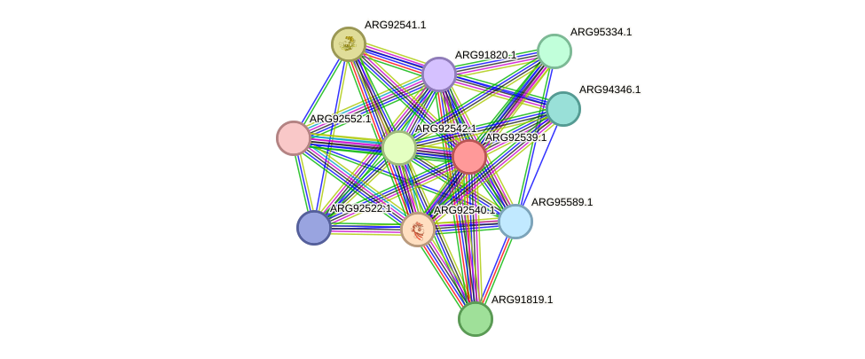 STRING protein interaction network