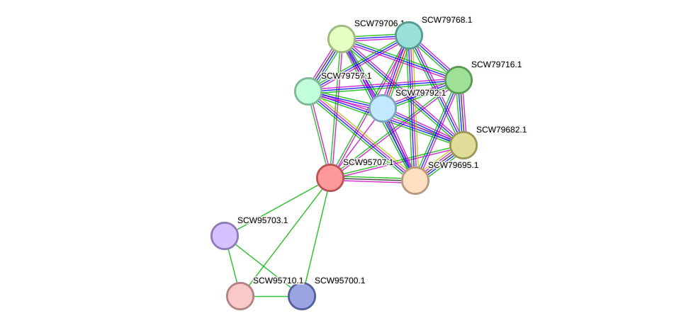 STRING protein interaction network