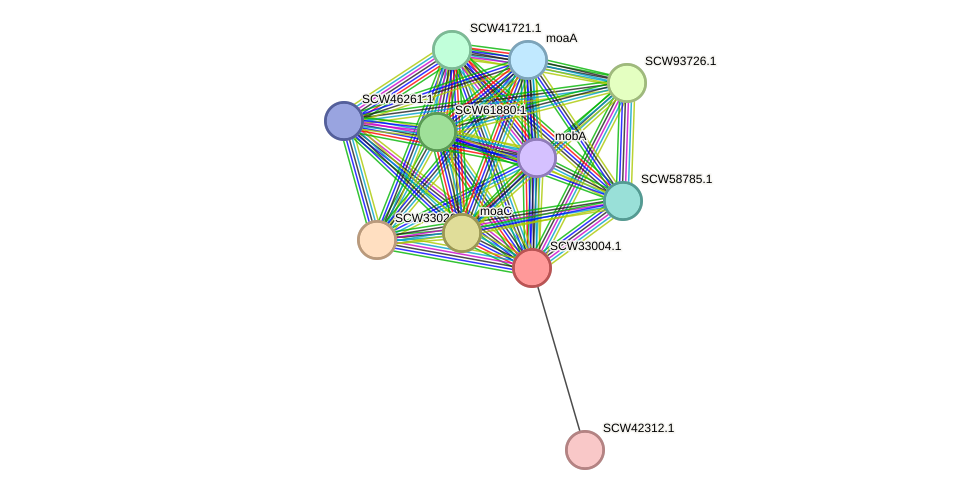 STRING protein interaction network