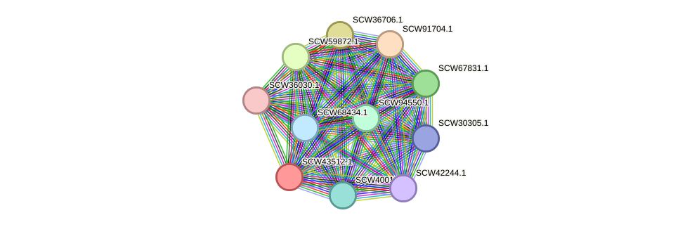 STRING protein interaction network