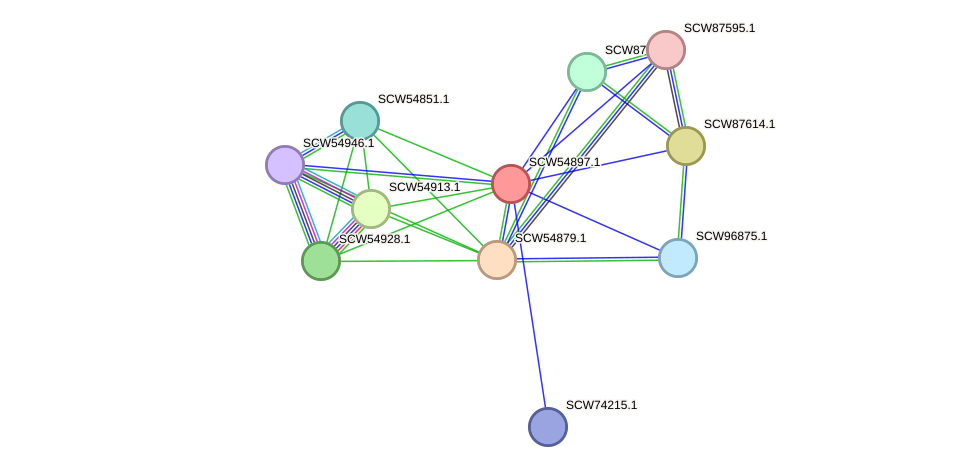 STRING protein interaction network