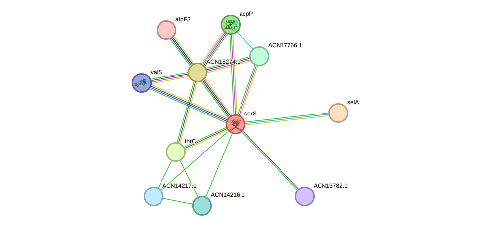 STRING protein interaction network