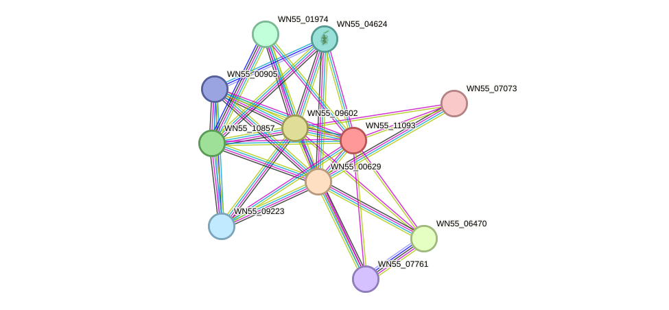 STRING protein interaction network