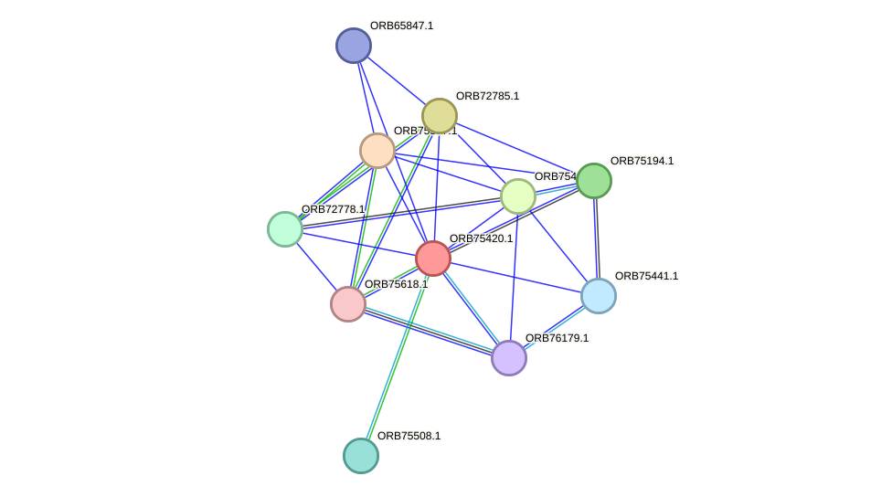 STRING protein interaction network