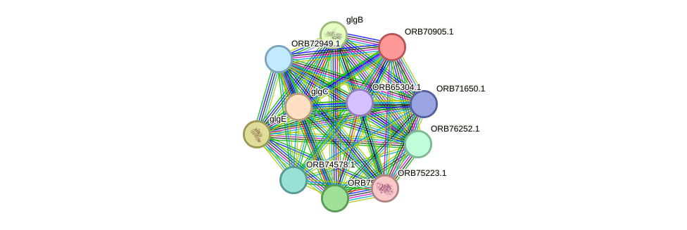 STRING protein interaction network