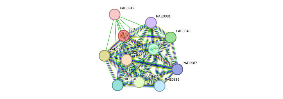 STRING protein interaction network