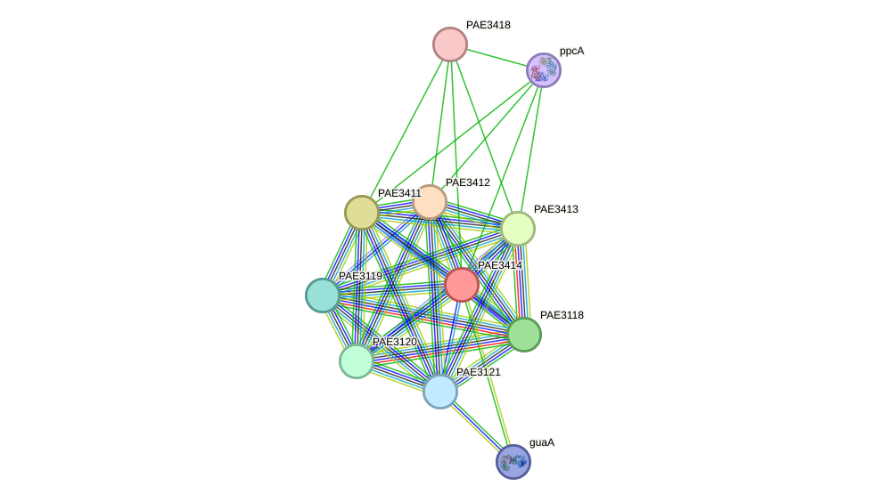 STRING protein interaction network