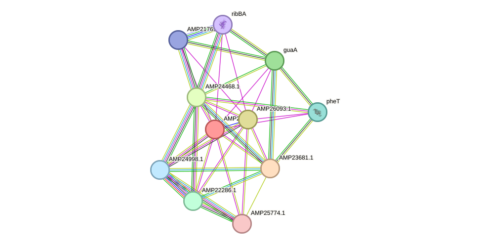 STRING protein interaction network