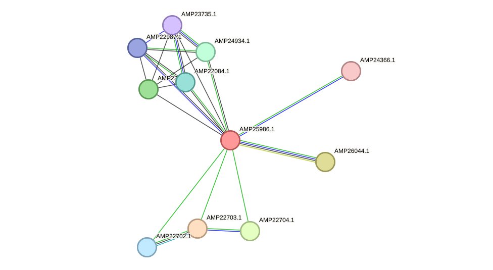 STRING protein interaction network