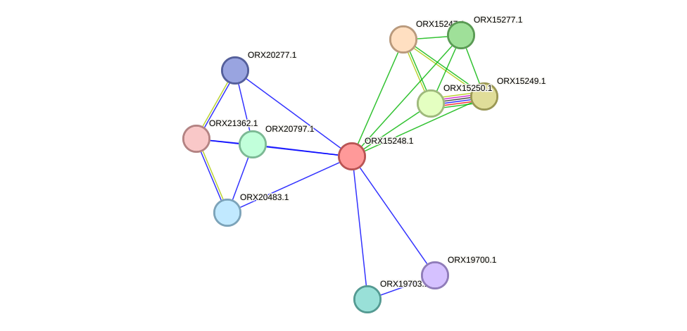 STRING protein interaction network