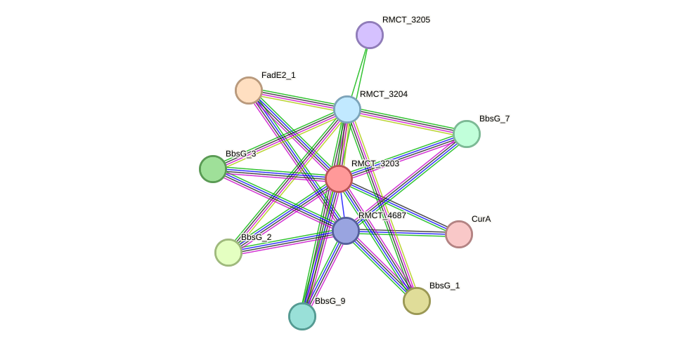 STRING protein interaction network
