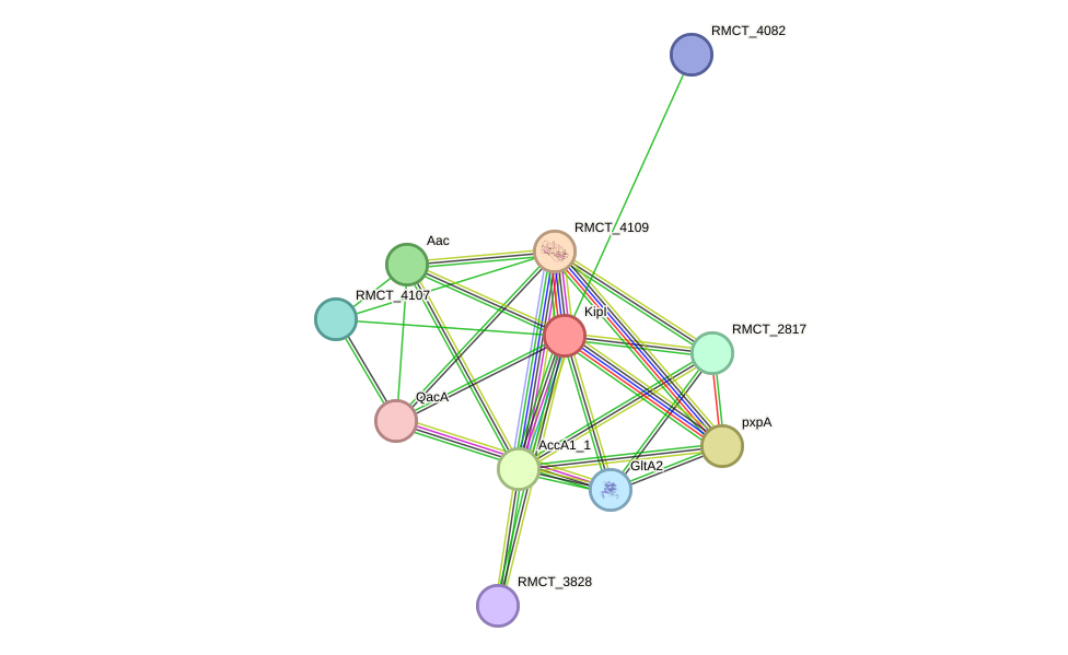 STRING protein interaction network