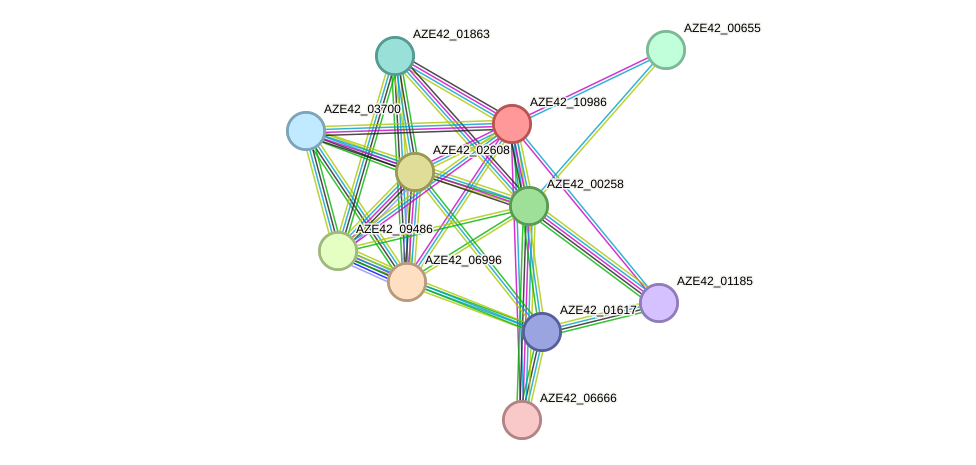 STRING protein interaction network