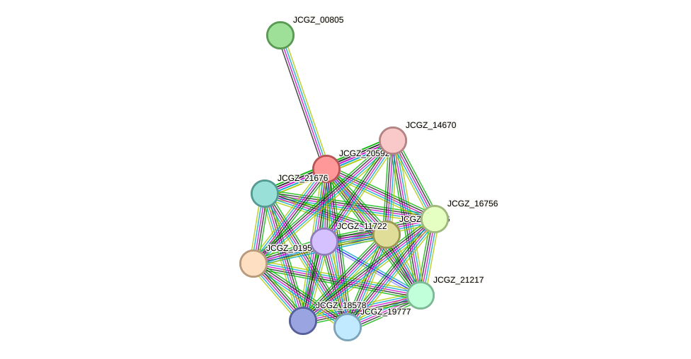 STRING protein interaction network