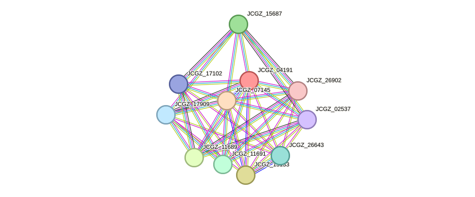 STRING protein interaction network