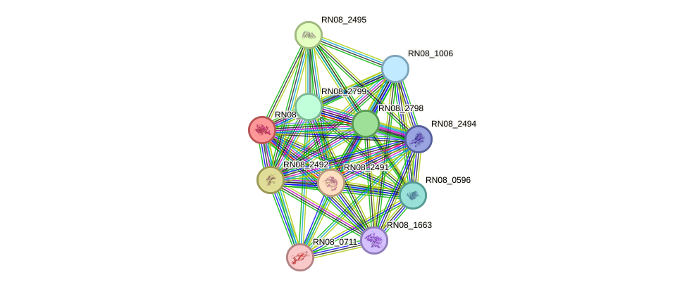 STRING protein interaction network