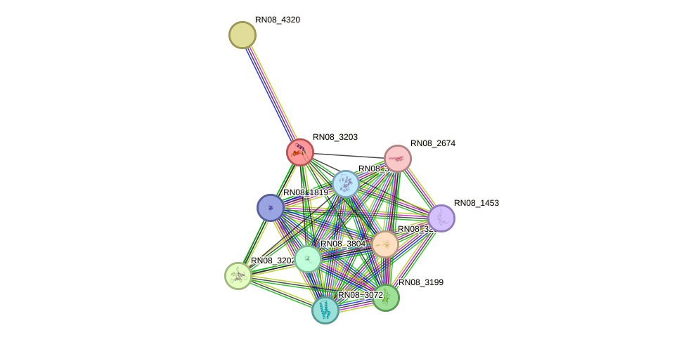 STRING protein interaction network
