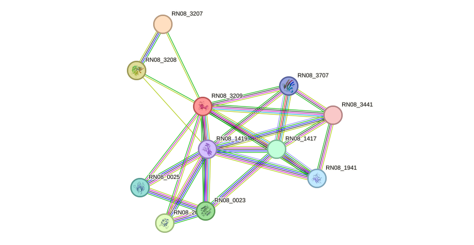 STRING protein interaction network