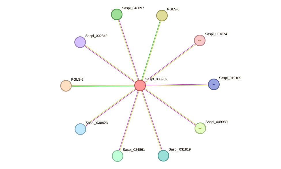 STRING protein interaction network