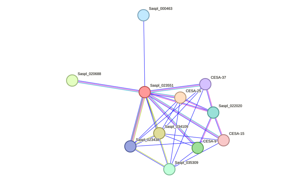 STRING protein interaction network