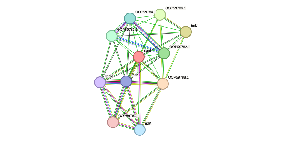 STRING protein interaction network