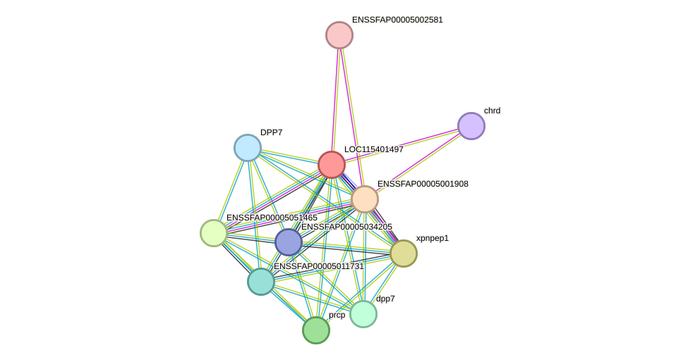 STRING protein interaction network