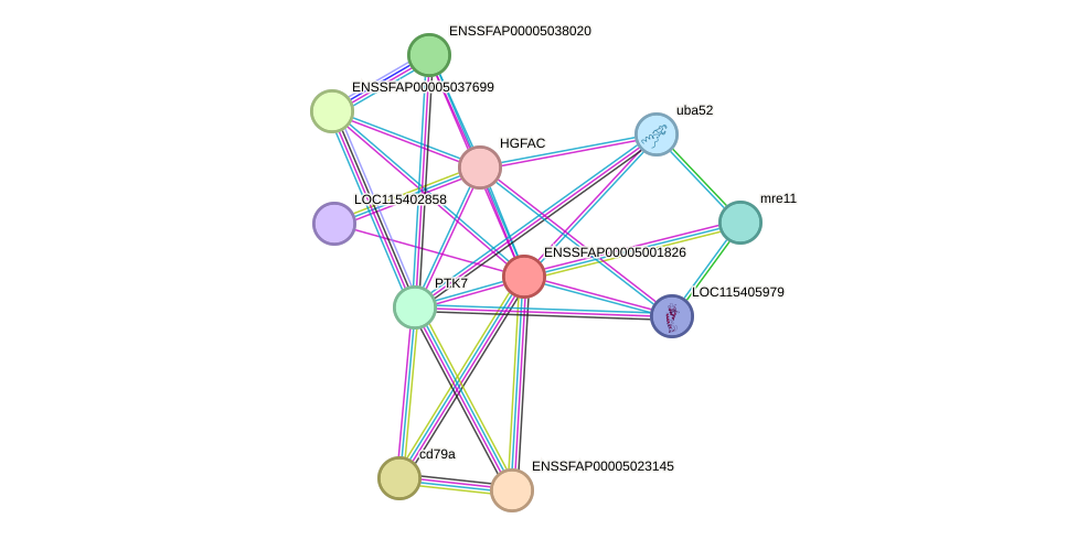 STRING protein interaction network