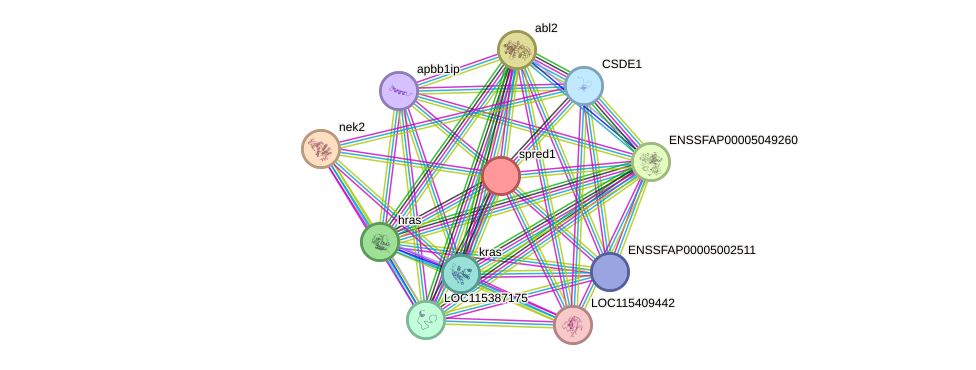 STRING protein interaction network