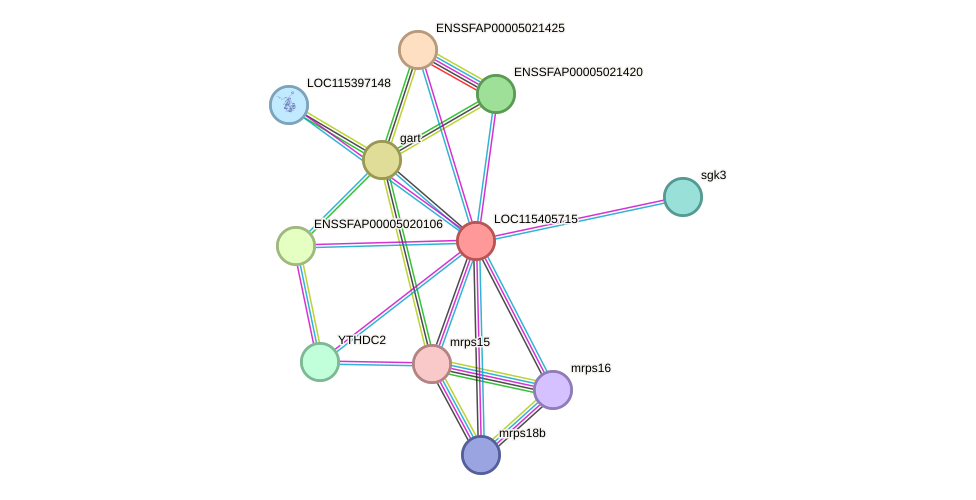 STRING protein interaction network