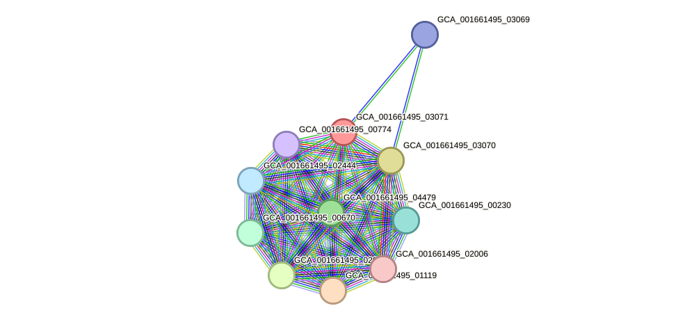 STRING protein interaction network