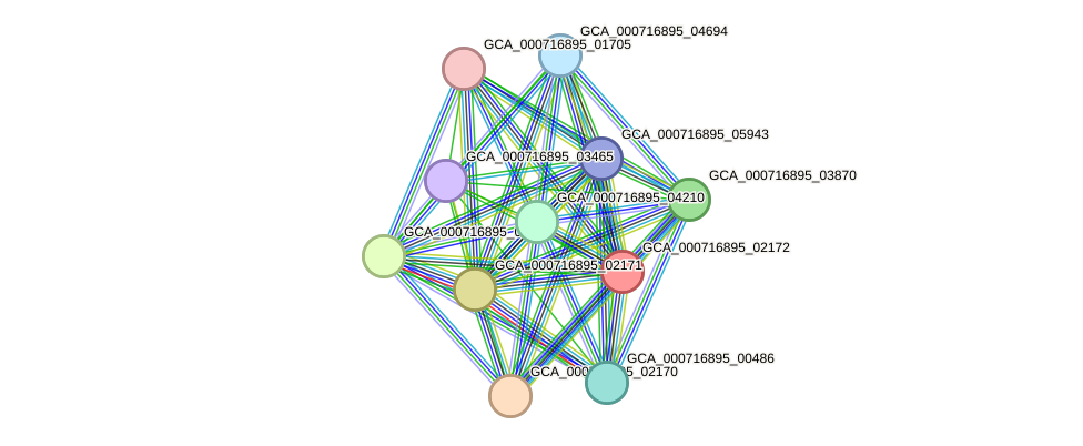 STRING protein interaction network