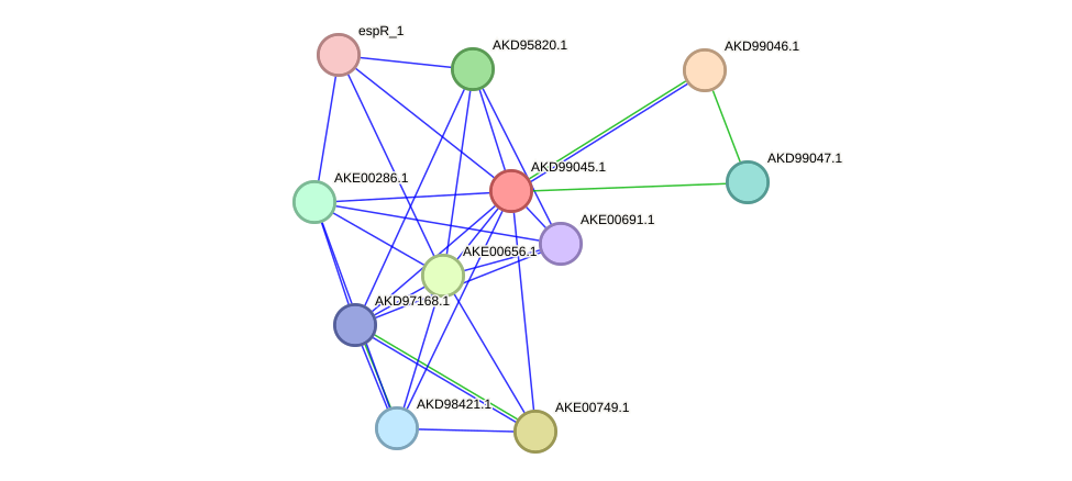 STRING protein interaction network