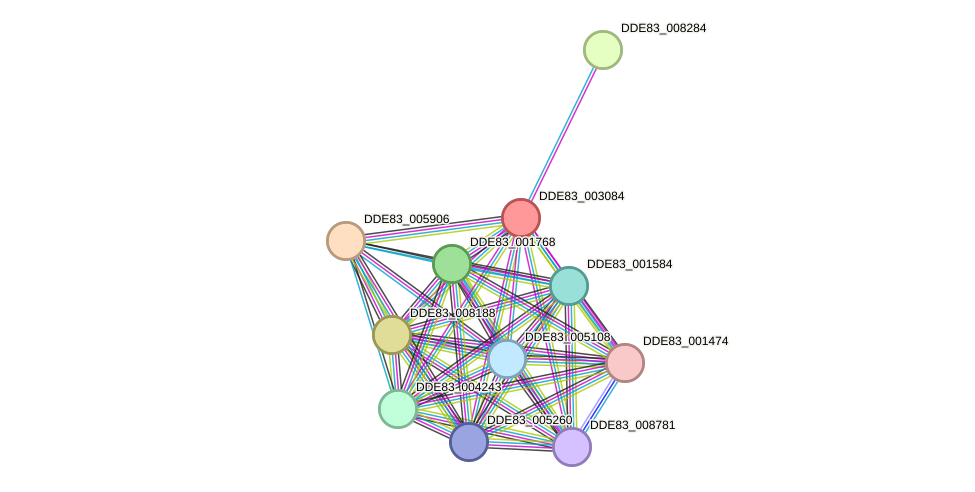 STRING protein interaction network