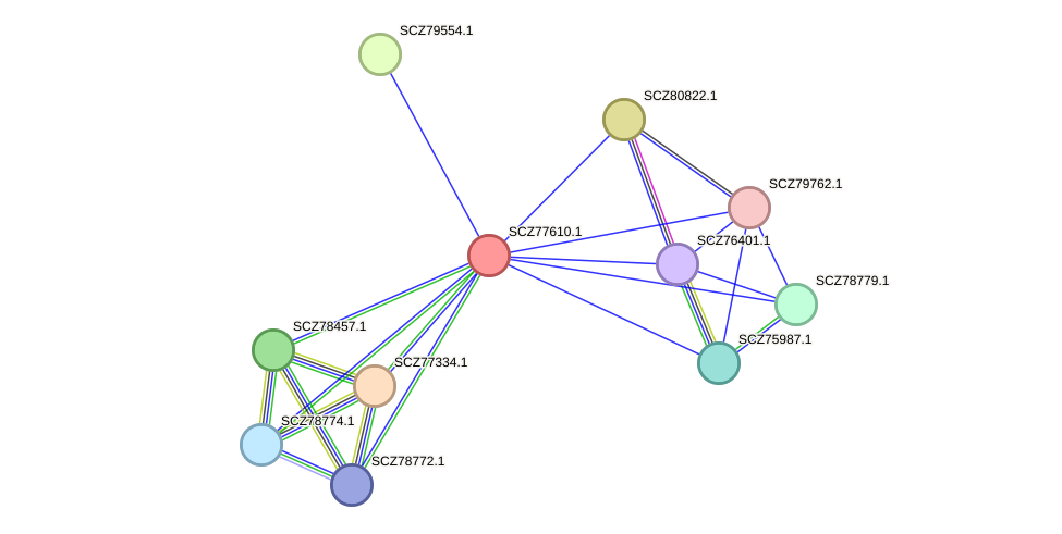 STRING protein interaction network