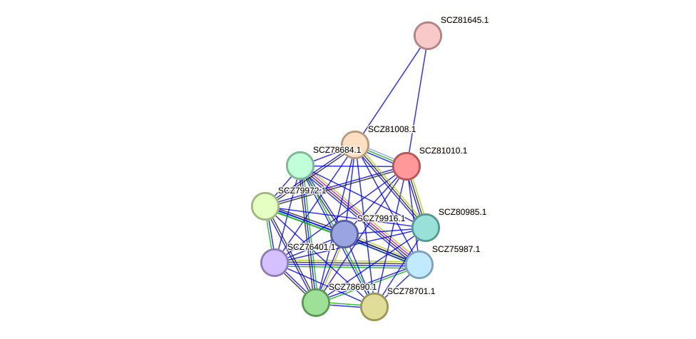 STRING protein interaction network