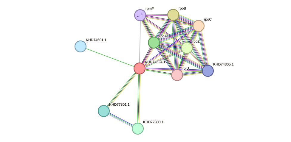 STRING protein interaction network
