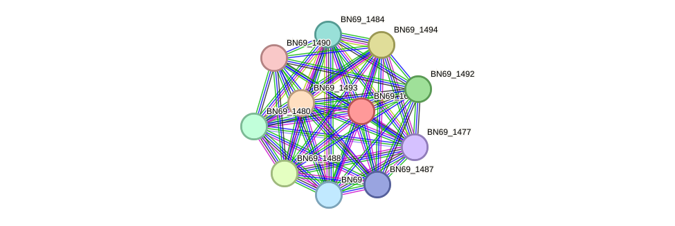 STRING protein interaction network