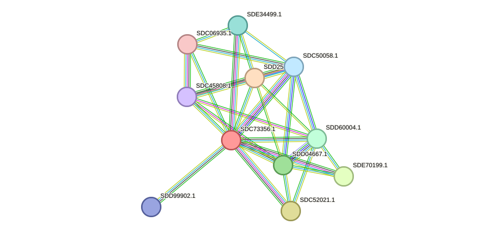 STRING protein interaction network