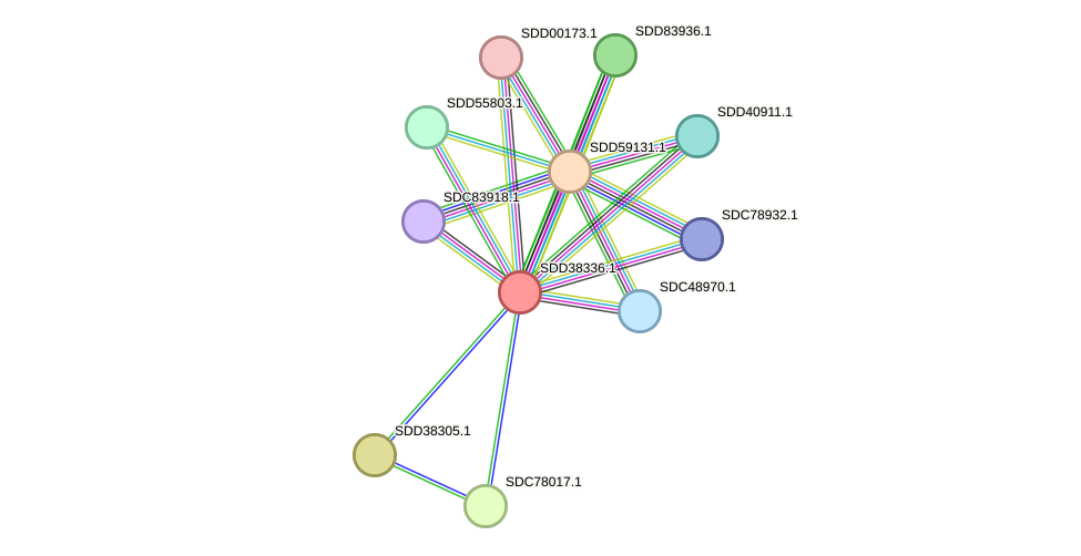 STRING protein interaction network