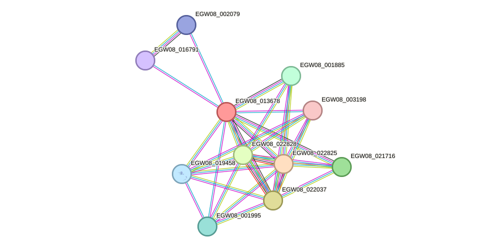 STRING protein interaction network