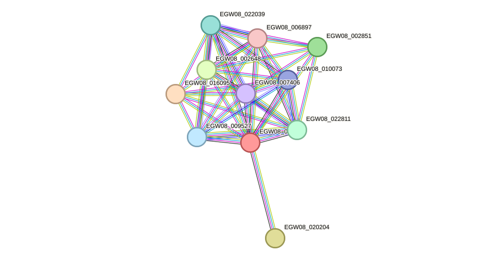 STRING protein interaction network