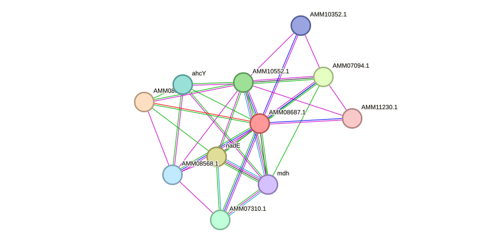 STRING protein interaction network