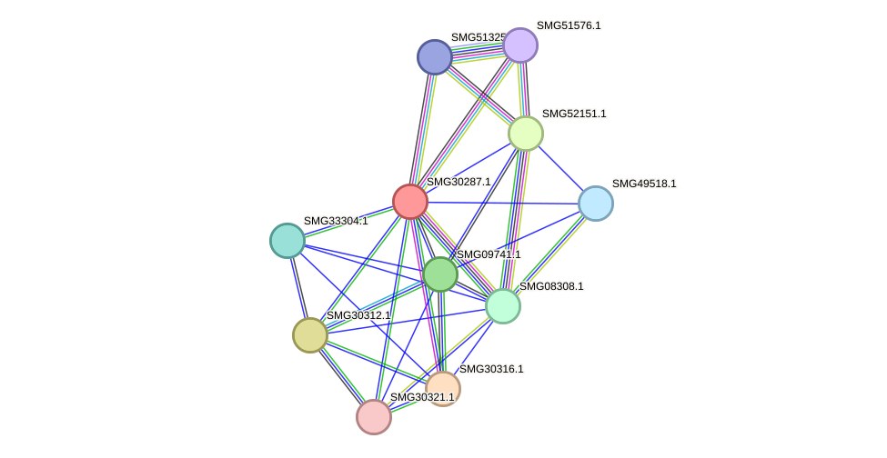 STRING protein interaction network